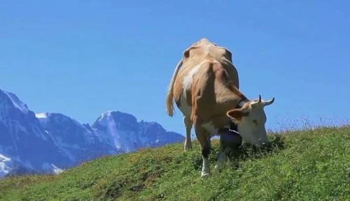\