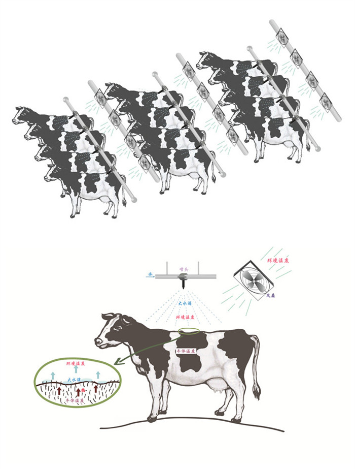 挤奶厅待挤通道风机+喷淋工艺布局图